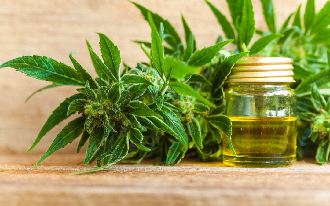 Where To Buy CBD Oil